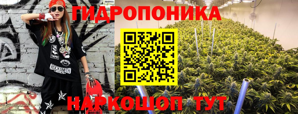 Конопля Amnesia Полысаево
